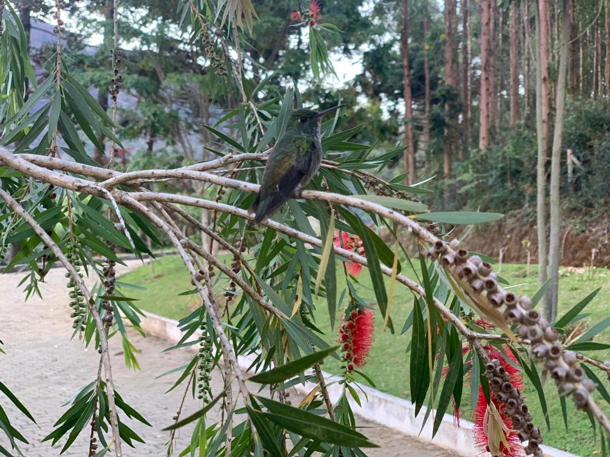 Flor De Cafe Pousada Pedra Menina Eksteriør bilde